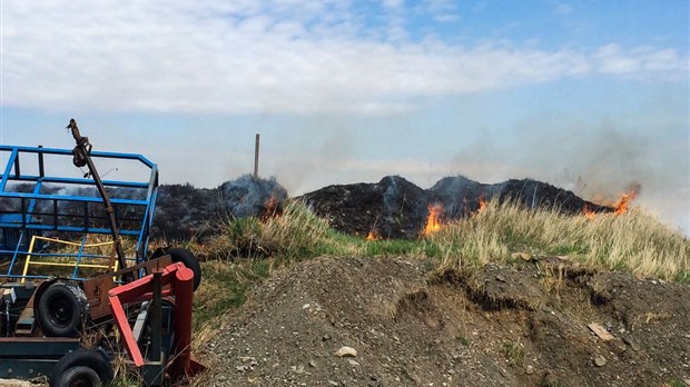 Feu de broussailles à Rivière-du-Loup