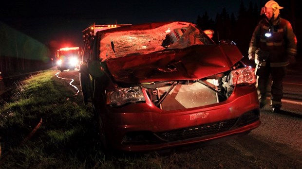 Collision avec un orignal sur la route 185