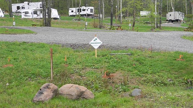 500 arbres plantés dans l’espace camping du Parc du Mont-Citadelle 