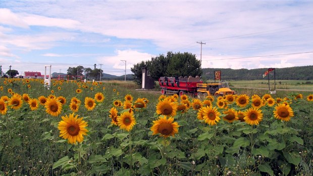 Début de la saison 2015 à la Ferme Professeur Tournesol