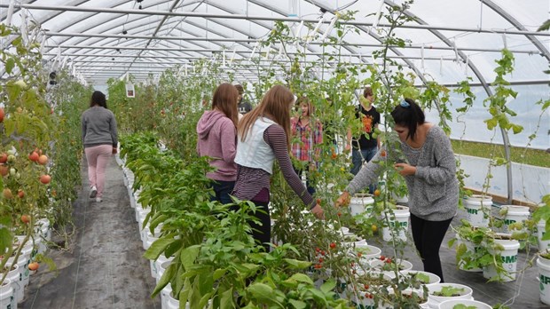 Le projet Serre-Vie finaliste au concours de la Fondation David Suzuki