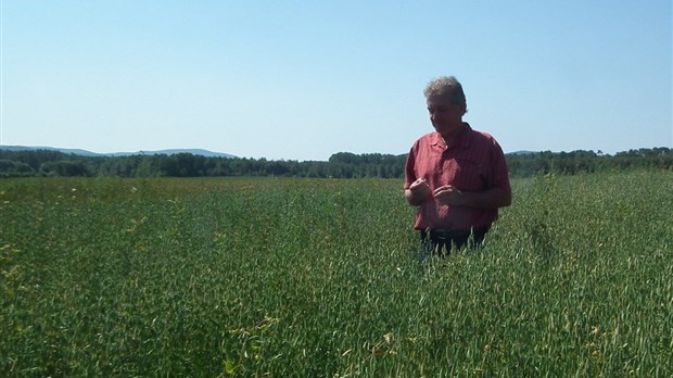 Des résultats significatifs pour les céréales biologiques et sans gluten