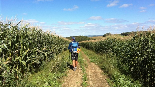 Un trajet écourté pour le Chemin de Saint-Rémi