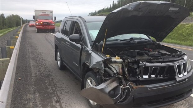 Collision avec un chevreuil sur l'autoroute 85