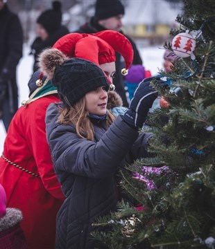 Collecte des arbres de Noël à Rivière-du-Loup