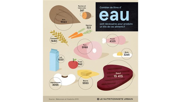 Gaspillage alimentaire – ou qu'est-ce qui atterrit dans la