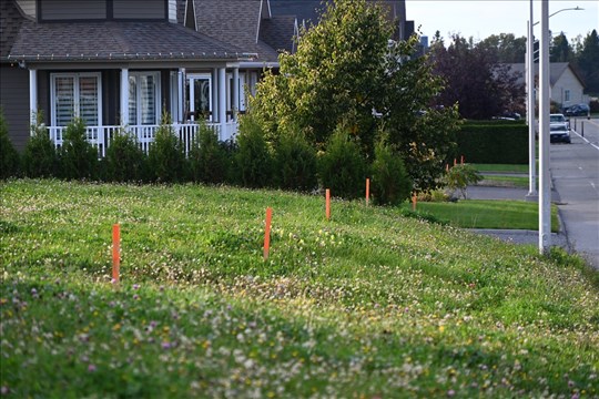 Des travaux d’arpentage sur la rue des Plateaux font réagir à Rivière-du-Loup