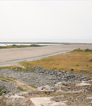 D’importants travaux au port de Gros-Cacouna en pleine période de nidification d’oiseaux migrateurs