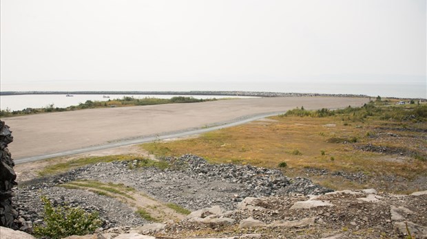 D’importants travaux au port de Gros-Cacouna en pleine période de nidification d’oiseaux migrateurs