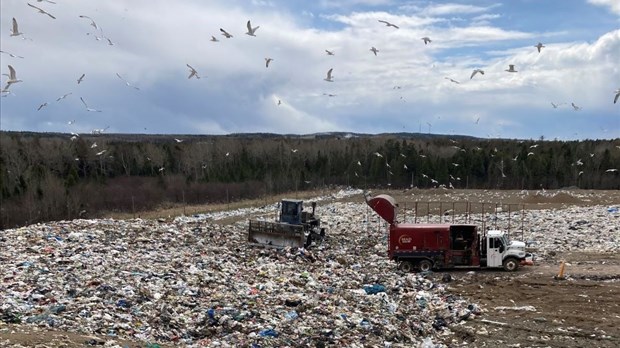 Repenser nos poubelles, une activité à la fois