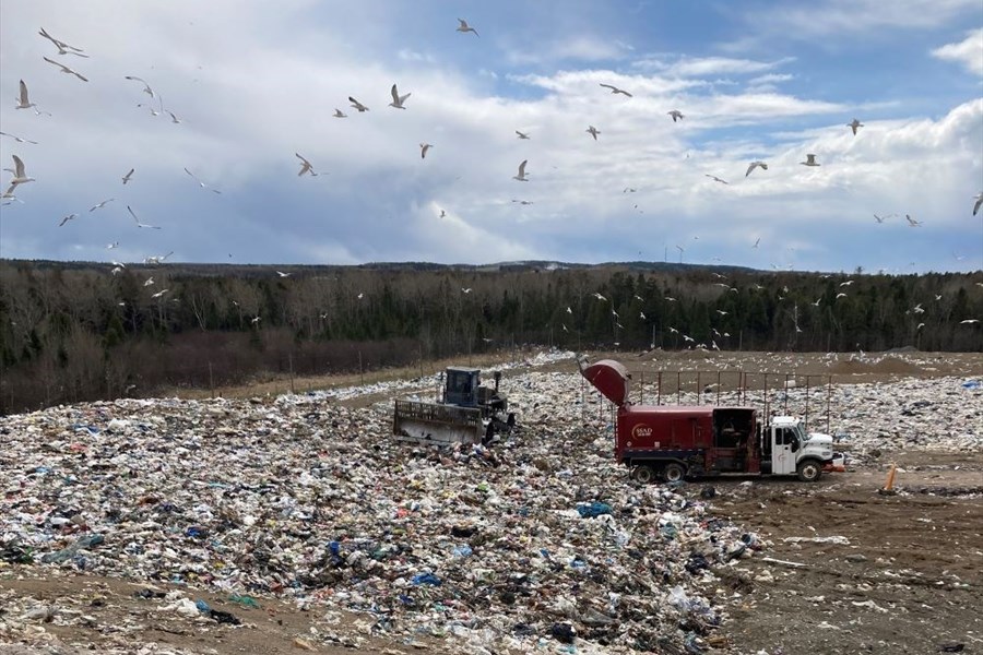 Repenser nos poubelles, une activité à la fois