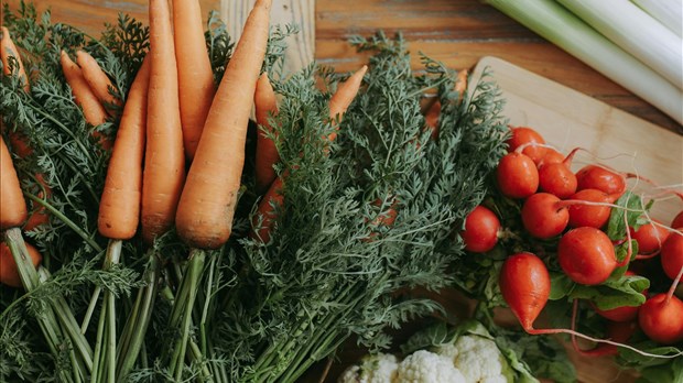 Une séance d’information pour l’intégration des produits régionaux chez Costco