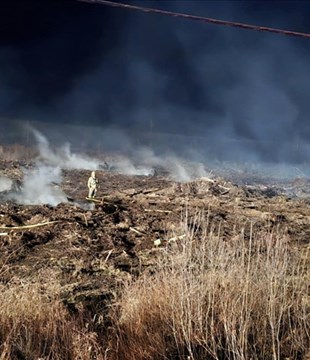 Feu de broussailles à Rivière-Bleue