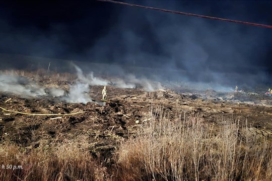 Feu de broussailles à Rivière-Bleue