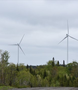 Le projet Madawaska prévoit l’installation de 45 éoliennes à Dégelis et Saint-Jean-de-la-Lande 