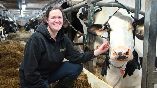 Le troupeau de la Ferme JPS Desjardins de Saint-Arsène classé 5e meilleur au Canada