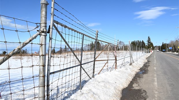 Terrain d’Irving Oil à la Pointe de Rivière-du-Loup : toujours aucun projet en vue selon la Ville