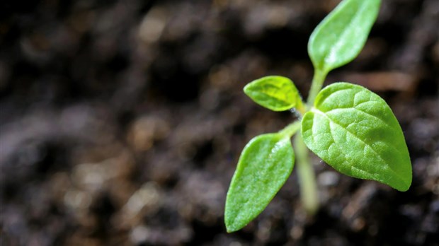 Jour de la Terre : un catalyseur pour sensibiliser à la protection de l’environnement