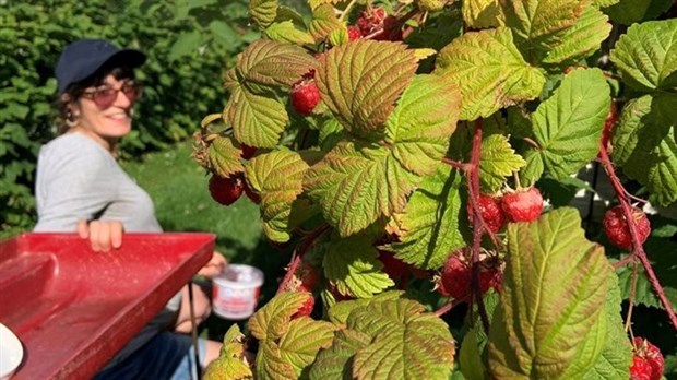 Une quatrième saison pour l’Escouade AlimenTerre