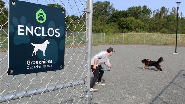 Le parc canin ouvrira de Rivière-du-Loup ses portes le 27 juillet