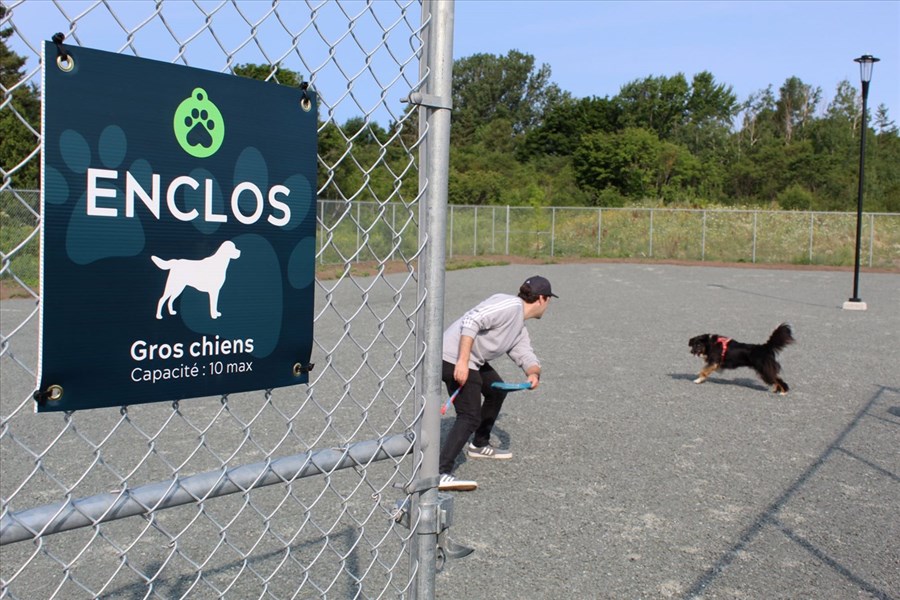 Le parc canin ouvrira de Rivière-du-Loup ses portes le 27 juillet