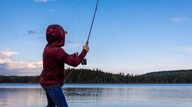 Pêche : réduction du contingent quotidien de saumons remis à l'eau et gardés pour la saison 2024 au Bas-Saint-Laurent