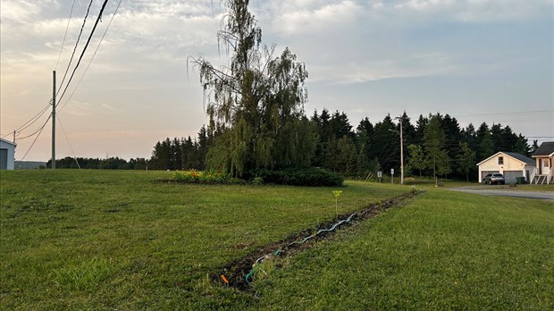 Un parc fruitier prend forme à Saint-Épiphane