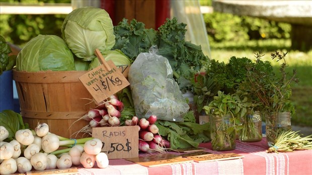 L’UPA présente de la 20e édition des Portes ouvertes Mangeons local 