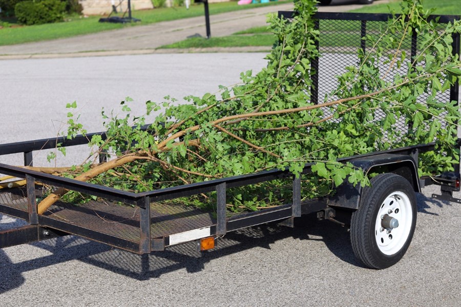 Cinq choses à savoir pour gérer ses branches d’arbres tombées