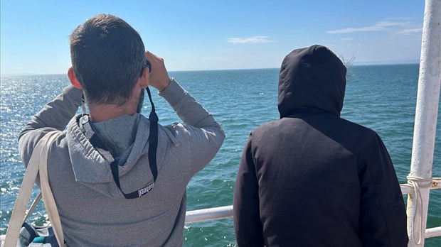 Des «sentinelles du Saint-Laurent» sur les traversiers de l’estuaire du Saint-Laurent 