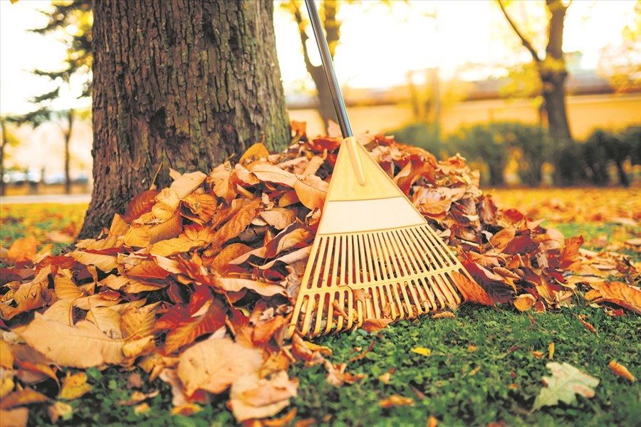 Automne, compostage et jardinage, c’est simple !