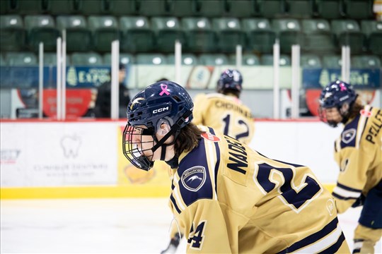 Deux Albatros dans la mire des recruteurs de la LHJMQ 