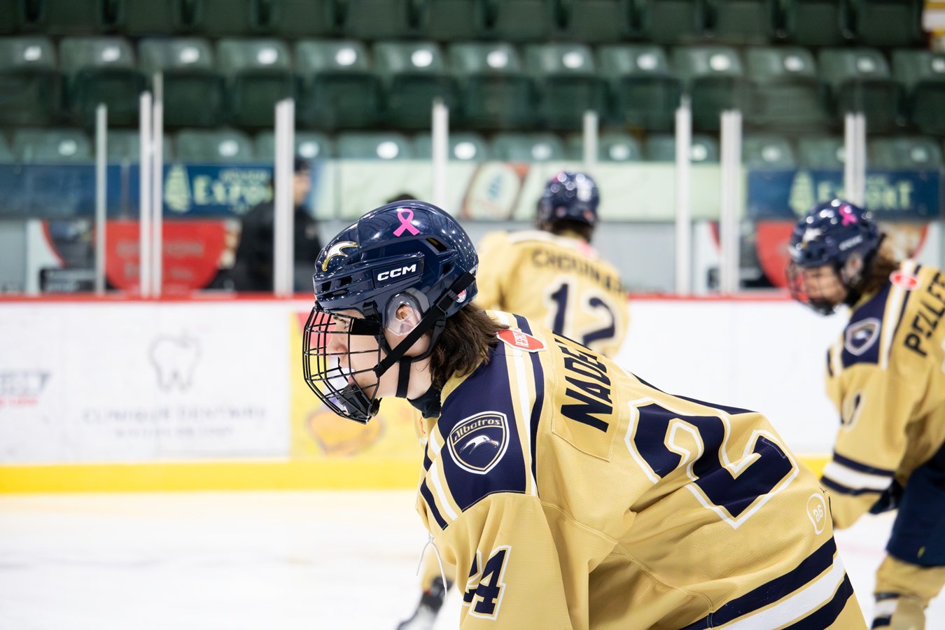 Deux Albatros dans la mire des recruteurs de la LHJMQ 