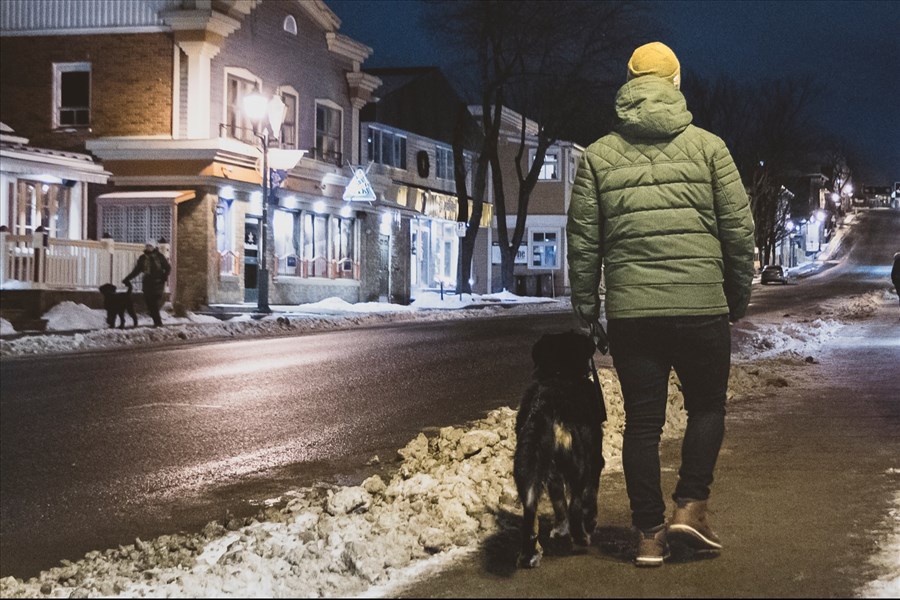 Agressé par deux chiens à Cabano, un citoyen veut sensibiliser la population