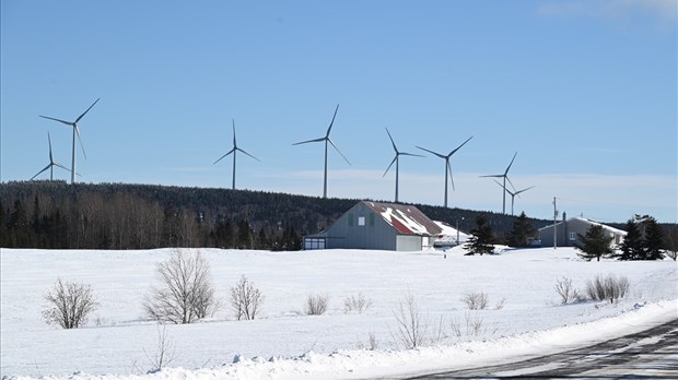 Projet Madawaska : de nombreuses questions sur les effets cumulatifs des parcs éoliens