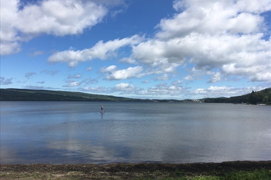 Un forum régional sur les espèces aquatiques envahissantes au Bas-Saint-Laurent