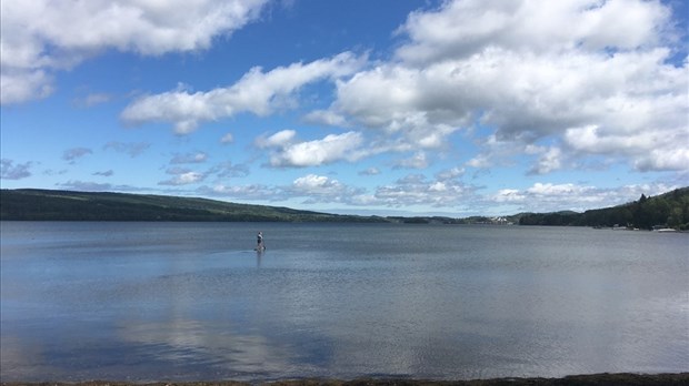 Un forum régional sur les espèces aquatiques envahissantes au Bas-Saint-Laurent