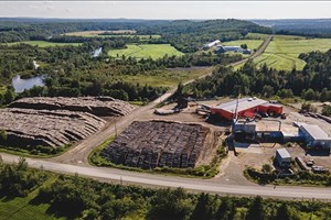 La scierie de Saint-Joseph-de-Kamouraska suspendra ses activités en avril 